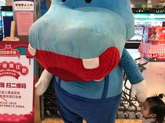 -盒马鲜生(宝地店)