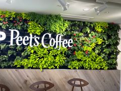 -Peet's Coffee皮爷咖啡(大学路店)
