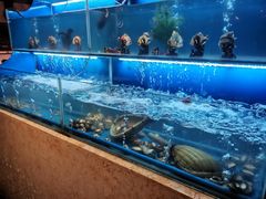 -芭菲盛宴·环球美食(北城国际店)