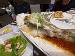 -凯鸽酒楼(操场城店)