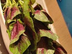 -海底捞火锅(宝龙广场夜宵主题店)