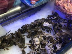 -比尔森韩式烤肉自助(国商店)