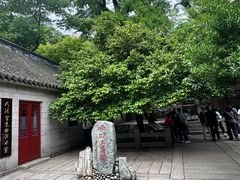 -青岛崂山太清宫