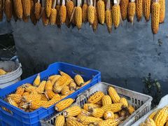 -南窖乡水峪村山情农家