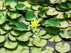 -大连植物园