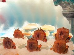 -雍容荟帝王蟹活龙虾展台自助(IFS黑金店)