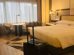 -新加坡乌节希尔顿酒店 (SG Clean)