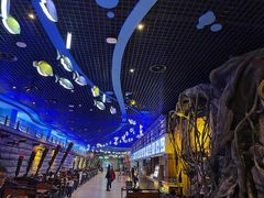 -华夏文旅海洋公园