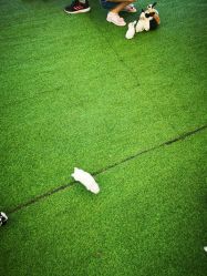 -萌宠亲子动物乐园(槐房万达店)