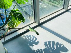 -同济大学(嘉定校区)