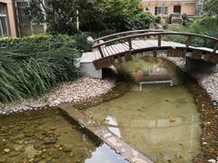 -小杨烤肉(朱雀店)