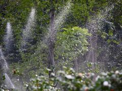 -南国桃园旅游度假区