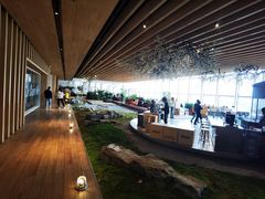 -Seesaw Coffee(朝阳大悦城店)