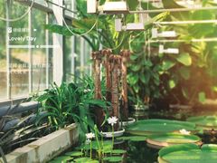 -国家植物园南园