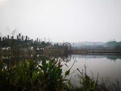 -枫香湖儿童公园