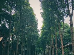 -三圣花乡旅游区