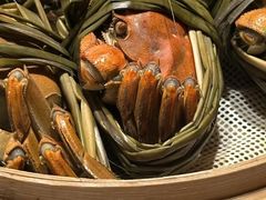 -杨氏青龙虾·羊蝎子(托乐嘉店)
