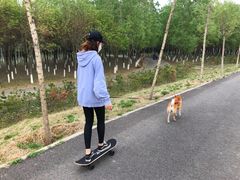 -东郊湿地公园