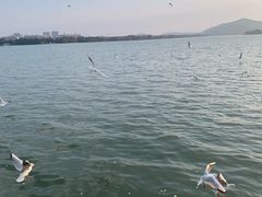 -蠡湖大桥公园