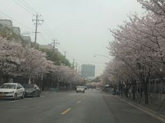 -永乐路-路侧停车场