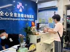 -全心全意连锁动物医院·微创中心·内科急重症·心脏专科(丰管路店)