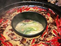 -渝大狮毛肚老火锅(普陀店)
