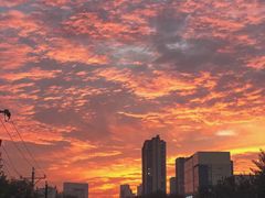 -法兰之吻蛋糕甜品(大望路店)