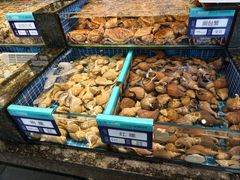-东海怡品海鲜豆捞(舟宿夜江店)