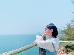 -广东惠东海龟国家级自然保护区