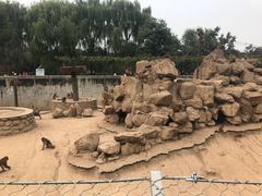 -西安秦岭野生动物园