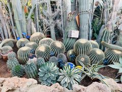 -国家植物园南园