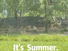 -北京野生动物园