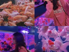 -桂林市花鸟市场