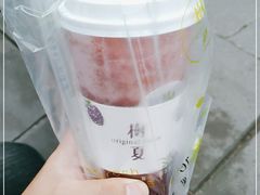 -树夏(锦里店)