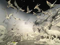 -中国湿地博物馆