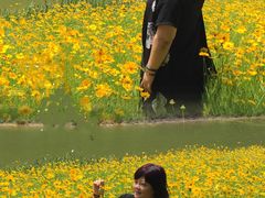 -黄海国家森林公园