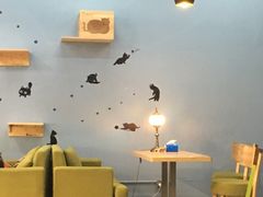 -猫咪咖啡·猫咖(万达广场店)
