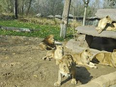 -北京野生动物园