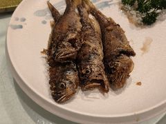 -上海德兴馆(昌里店)