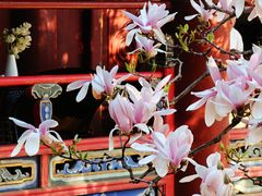 -潭柘寺景区
