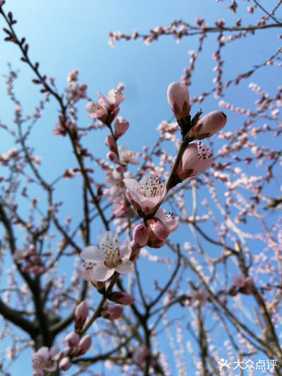 春分