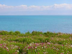 -青海湖国家重点风景名胜区