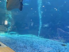 -三亚绿发山海天JW万豪酒店