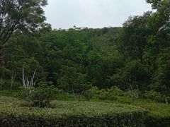 -云龙湖旅游景区