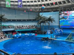 -海合安成都极地海洋公园