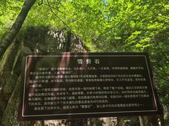-九龙潭景区