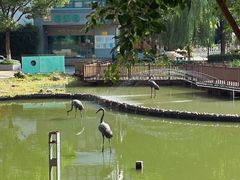 -苏州河梦清园环保主题公园