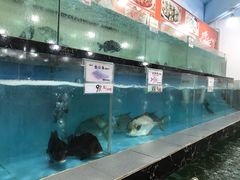 -源海渔村·现捞海鲜(大角湾店)