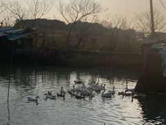-美家乐农庄·露营·团建(大治路店)