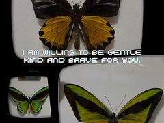 -上海昆虫博物馆